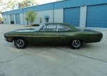 042_Road_Runner_03.jpg